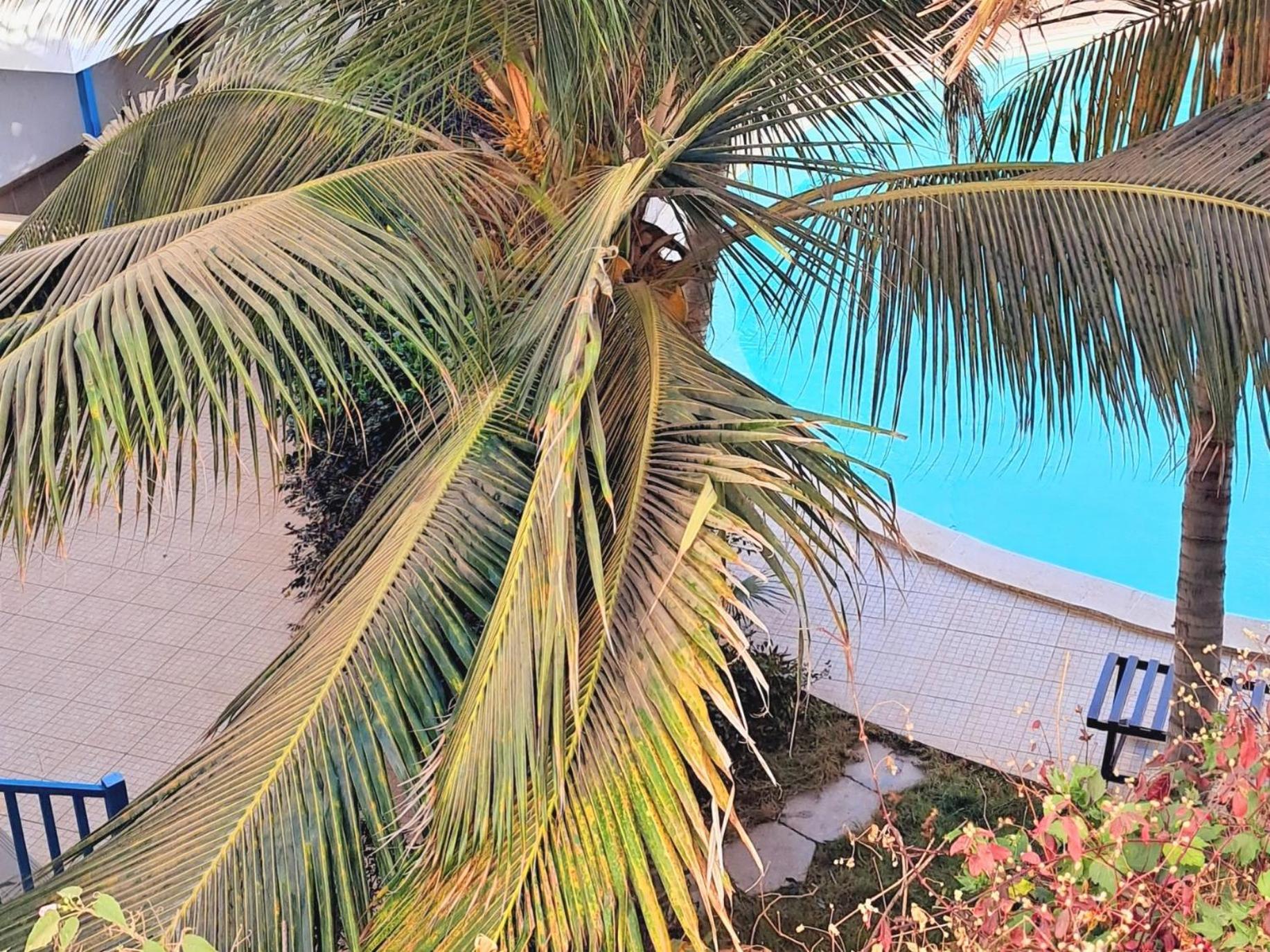 Sal Service Leme Bedje Residence سانتا ماريا المظهر الخارجي الصورة